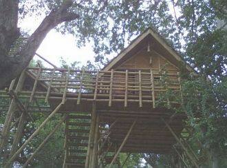 Bheemeshwari Jungle Lodge, Mandya 4